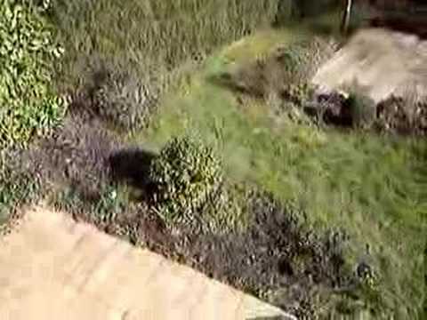 Bochum, Waldesrand im März 2007 (1. Teil)