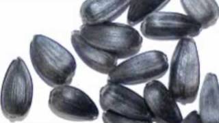 Why egyptian BLACK SEEDS are so good for you .