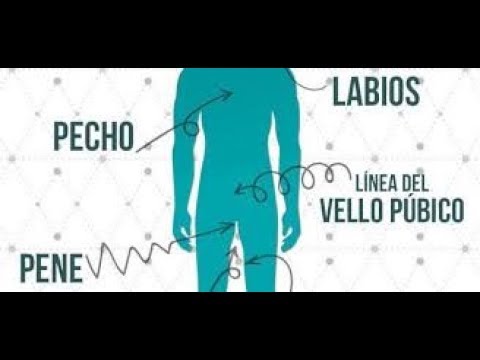 7 ZONAS EROGENAS PARA EXCITAR A UN HOMBRE   «MAITE SIMEON»