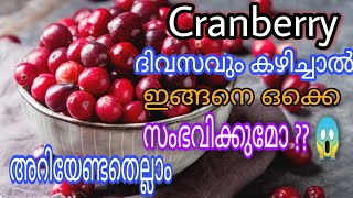 Download lagu കാൻബെറി അറിയേണ്ടതെല്ലാം | Health Benefits of Cranberries and how to use it mp3