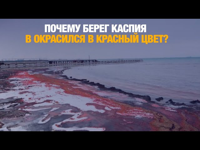 Почему берег Каспия в Актау окрасился в красный цвет?
