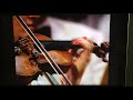 Peter And The Wolf Violin Excerpt