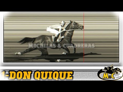 DON QUIQUE - 27-09-25 - KM. 101 - M&C