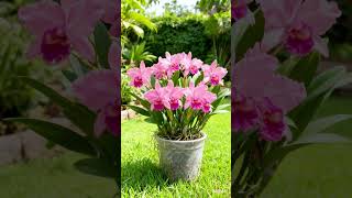 18 de março de 2026