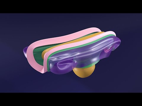 3D Body Cavities Embryology Part 1: Embryonic Folding - Pericardioperitoneal canals