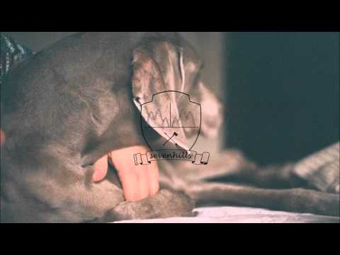 download lagu mp3 mp4 Brother Bonjah, download lagu Brother Bonjah gratis, unduh video klip Brother Bonjah