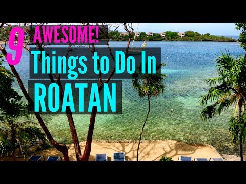 9 Awesome Things To Do In Roatan Honduras