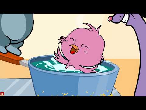 Ta-ta-ta-taaam | Yavru Kuş ve Akıllı Sincap | Çocuk Çizgi Filmleri | Chotoonz TV Türkçe ÇizgiFilm