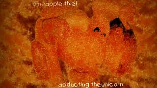 The Pineapple Thief - Drain (Sub. Español)