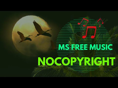 VOLT VISION, Beneath My Shade - Dangerous [NCS Release]Ms Free Music provided by NoCopyrightSounds