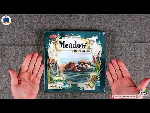 UNBOXING MEADOW DOWNSTREAM Expansion (Espansione) - Board Game - #indabox