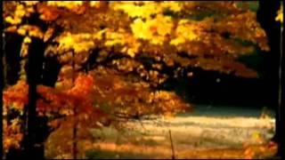 Nella terra del vento   - Ivano Fossati -