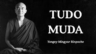 Yongey Mingyur Rinpoche - Tudo Muda