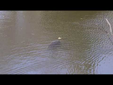 Voorjaar op Le Touroulet