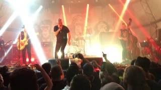 The Living End - Lay down your guns ( With Jimmy Barns)