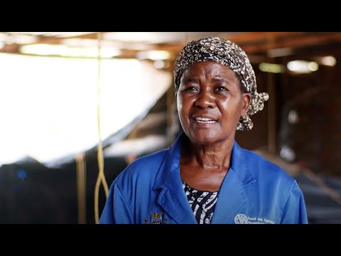 Reducing the need for antimicrobials by improving animal husbandry practices