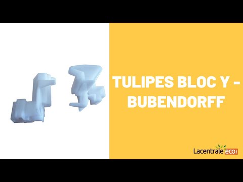 Tulipes BLOC Y - Bubendorff