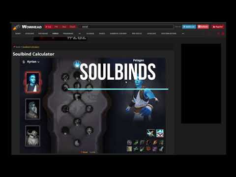 Shadowlands Survival Guide: For beginners