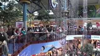 Christmas Flash Mob singing "Amazing Grace" at Rivertown Crossing