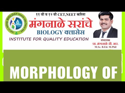 11th chap-5 (lect-6)MORPHOLOGY OF PLANT -PARTS OF FLOWERS - BY GUNWANT MANGNALE SIR.