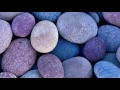Swallowing Stones book trailer