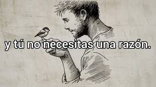 Little Bird- The weepies (sub español)