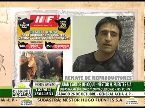 DE FRENTE AL CAMPO junto al REMATE de NÉSTOR HUGO FUENTES S.A.