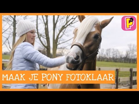 Zo maak je je lieveling fotoklaar - met Sheila