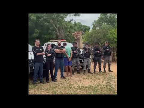 Polícias Civil e Militar realizam ação com apreensões e prisão em Pajeú do Piauí