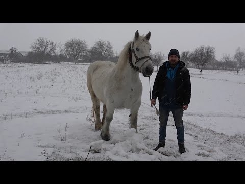 Iapa lui Ionut de la Auseu, Bihor - 2022 Nou!!!