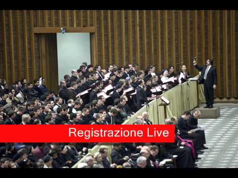 Marialuisa Balza, Petrus Apostolus Coro del PIMS; Org. Marco di Lenola; Dir. Walter Marzilli LIVE