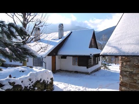 Kolegu i punes me q in ne cdo cep te Zyres