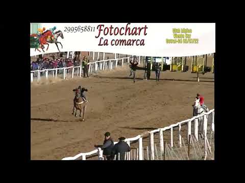 CLUB HÍPICO VIENTO SUR. Carrera Nº4