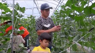 [나는 농부다] 달콤 아삭 멜론 부부의 희망일기 2부 (품목: 하미과멜론)
