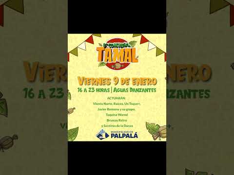 Concurso del Tamal Palpala