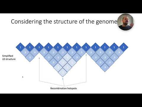 Explaining how S and V are estimated and what they are