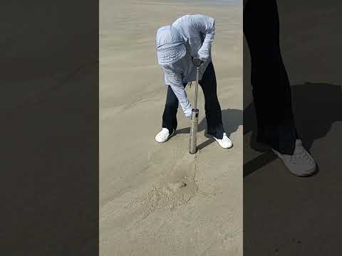 The beauty caught one accurately, the mantis shrimp, can't escape even if she wants to