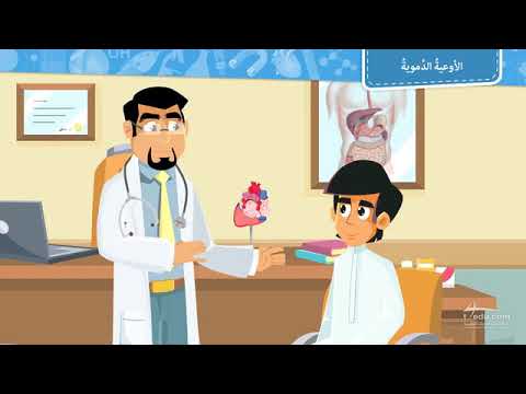 فيديو تعليمي