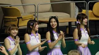 #musegirls 　レバンガ札幌応援　#瑟七 #小映 #Joy #霖霖 #cheerleader  #台湾チア