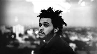 Till Dawn (Here comes the sun) The Weeknd Traducão/legendado