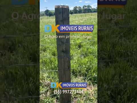 🚨 OPORTUNIDADE PARA PRODUTORES E INVESTIDORES EM BAGÉ/RS! 🚜💎