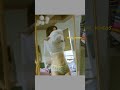 Aahana Kumra Hot Bollywood Actress In Bikini Showing Boobs And Bum Hip Malfunction