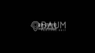 BAUM FESTIVAL 2017 | 20.Mayo | Multiparque