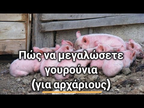 , title : 'Πώς να μεγαλώσετε γουρούνια - Εκτροφή γουρουνιών για Αρχάριους'