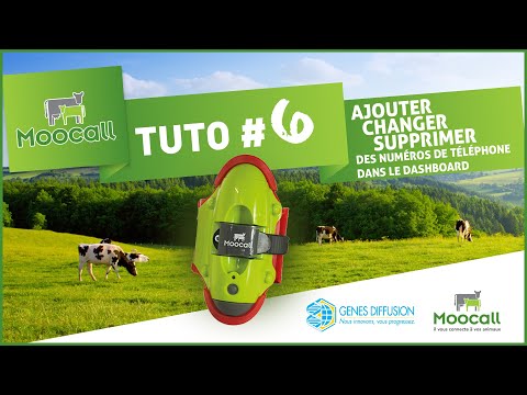 06 Moocall - Ajouter/Changer/Supprimer un (ou des) numéro(s) de téléphone depuis le dashboard