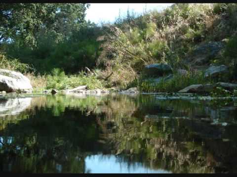 DJ Demand - The Silence