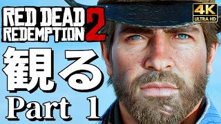 【観るゲーム】レッド・デッド・リデンプション2 Part 1【RDR2】【映画風ストーリー】【全エンディングも収録】英語音声 日本語字幕 4K PC最高画質+ Red Dead Redemption2