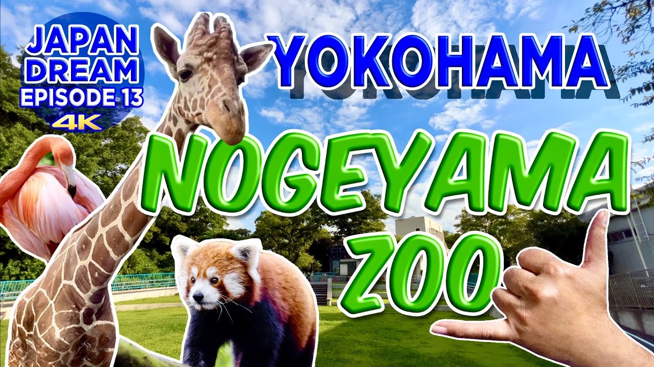 Discover the captivating highlights of Nogeyama Zoo.