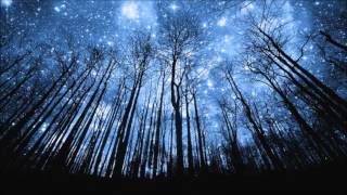 Jan Garbarek   We are the stars