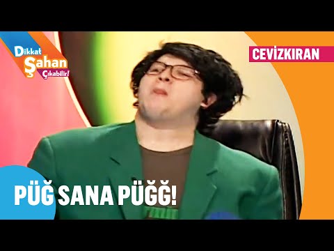 En zeki hayvan yunus mudur? - Dikkat Şahan Çıkabilir